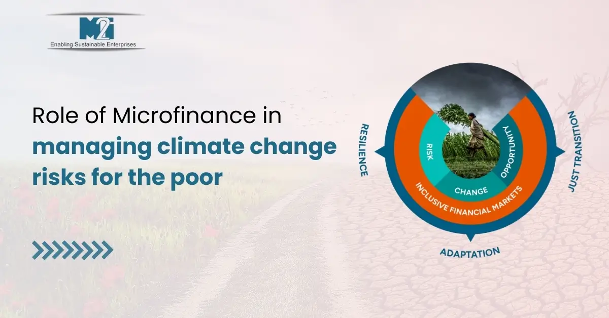 Climate change mitigation, Climate-resilient agriculture, Energy poverty alleviation, Financial resilience, Renewable energy projects, Savings accounts, Small loans, Vulnerable communities, Weather-indexed insurance