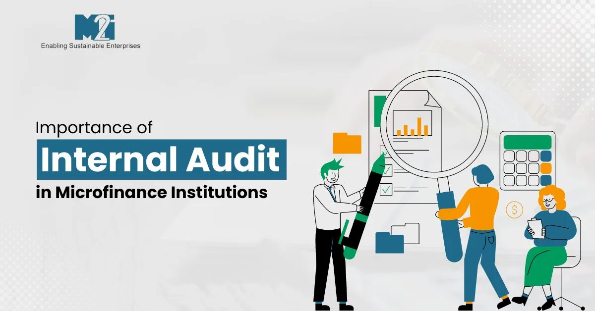 Audit, Internal Audit System, Microfinance