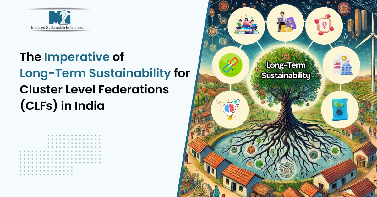 CLFs sustainability, Cluster Level Federations, digital transformation, rural development, self-help groups, SHG empowerment